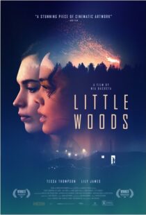دانلود فیلم Little Woods 201822292-306428041