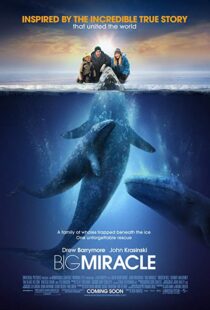 دانلود فیلم Big Miracle 201218814-767434472