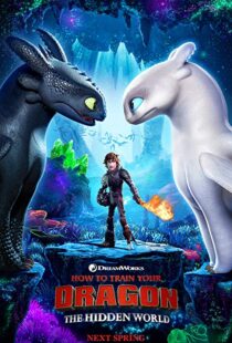 دانلود انیمه How to Train Your Dragon: The Hidden World 201919855-939921283