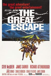 دانلود فیلم The Great Escape 19635445-913767938