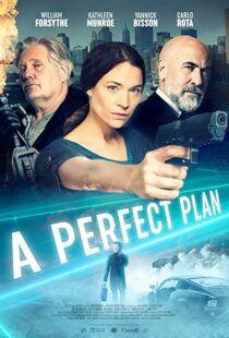 دانلود فیلم A Perfect Plan 202043957-2061310120