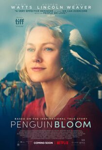 دانلود فیلم Penguin Bloom 202073302-911169488