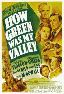 دانلود فیلم How Green Was My Valley 194181855-15983519