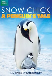 دانلود مستند Snow Chick: A Penguin’s Tale 2015109604-697247028