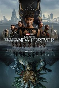 دانلود فیلم Black Panther: Wakanda Forever 2022277470-1543949241