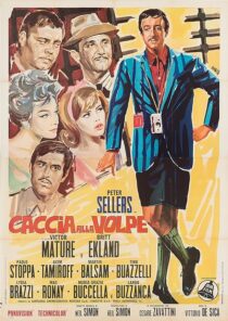دانلود فیلم After the Fox 1966376229-1049367834