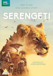 دانلود سریال Serengeti378761-963705898
