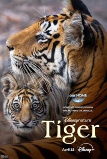 دانلود مستند Tiger 2024396409-249216629