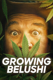 دانلود سریال Growing Belushi400424-1427054536