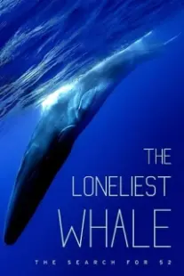 دانلود فیلم The Loneliest Whale: The Search for 52 2021403098-699148540