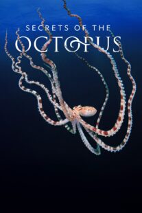 دانلود سریال Secrets of the Octopus401286-777804041