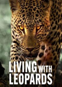 دانلود مستند Living with Leopards 2024400477-1482208857