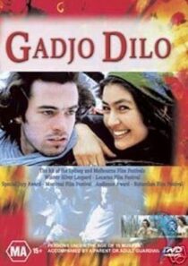 دانلود فیلم The Crazy Stranger 1997407241-661975639