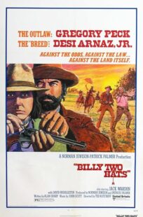 دانلود فیلم Billy Two Hats 1974411057-2041885553