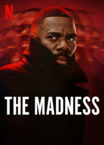 دانلود سریال The Madness415923-1370798838