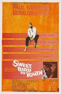 دانلود فیلم Sweet Bird of Youth 1962415738-631977413