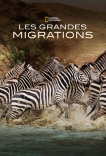 دانلود مستند Great Migrations417146-268328435