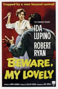 دانلود فیلم Beware, My Lovely 1952420627-1568329194