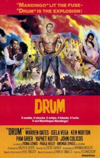 دانلود فیلم Drum 1976423508-2040110005
