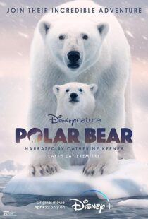 دانلود مستند Polar Bear 2022422974-1218732286