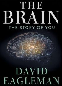 دانلود سریال The Brain with Dr. David Eagleman428613-1946250482