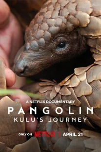 دانلود مستند Pangolin: Kulu’s Journey 2025430703-185904922