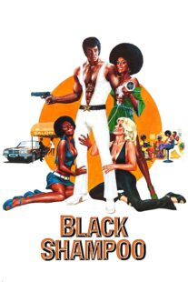 دانلود فیلم Black Shampoo 1976435042-733095494