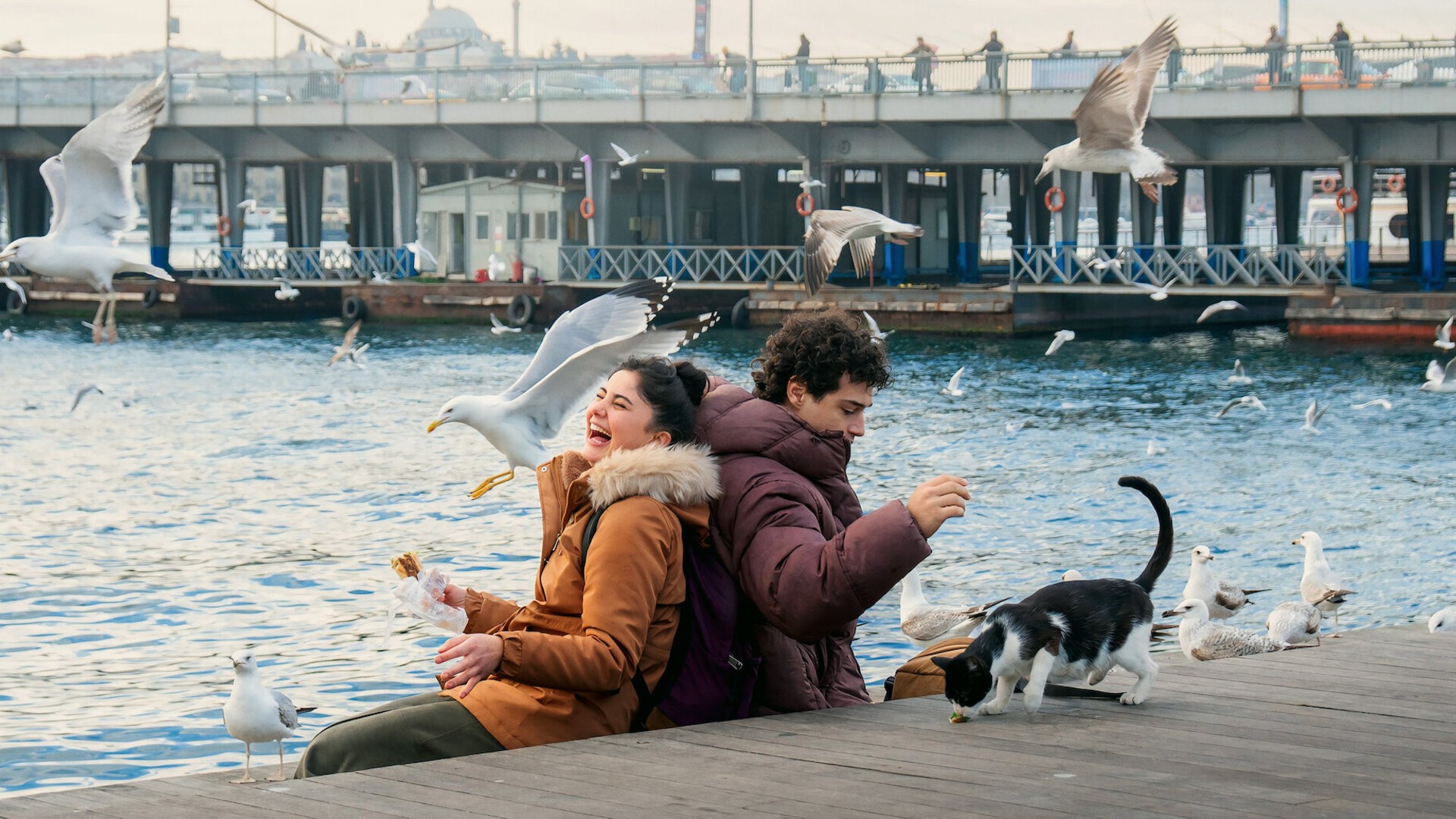 دانلود سریال (Istanbul Encyclopedia) Istanbul Ansiklopedisi
