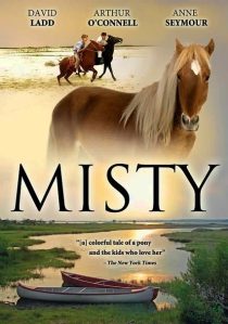 دانلود فیلم Misty 1961436665-1099761540